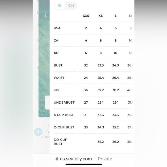 NWOT Seafolly Inka Gypsy Bandeau Maillot One Piece Swimsuit Eden Blue - Picture 12 of 12